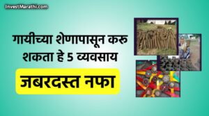 How to Start Cow Dung Business in Marathi